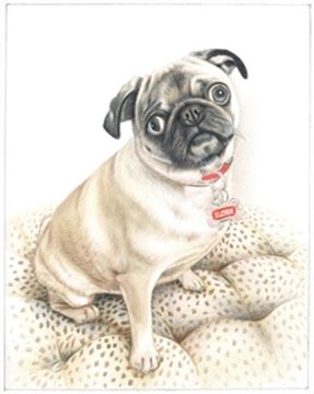 Hand Drawn Colored Pencil Portraits from Photos | Colored Pencil Drawings from Photos