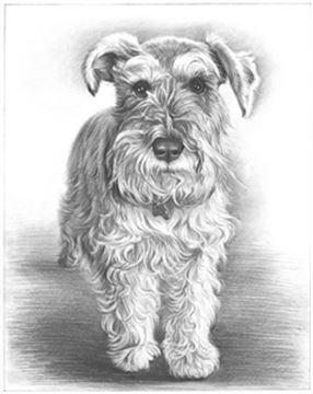 Hand Drawn Pencil Portraits from Photos | Pencil Portrait Drawing | Pencil Sketch Artists