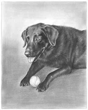Hand Drawn Pencil Portraits from Photos | Pencil Portrait Drawing | Pencil Sketch Artists