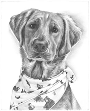 Hand Drawn Pencil Portraits from Photos | Pencil Portrait Drawing | Pencil Sketch Artists