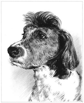 Hand Painted Ink Rendering Portraits from Photos