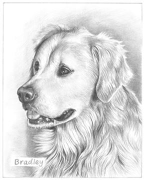 Hand Drawn Pencil Portraits from Photos | Pencil Portrait Drawing | Pencil Sketch Artists