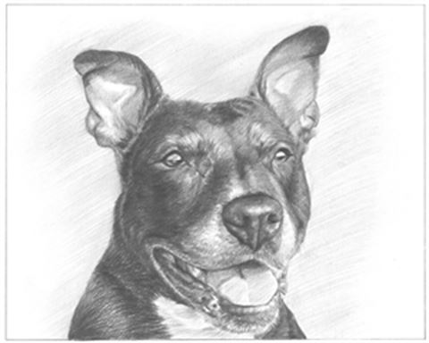 Hand Drawn Pencil Portraits from Photos | Pencil Portrait Drawing | Pencil Sketch Artists