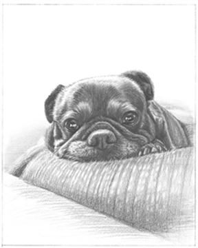 Hand Drawn Pencil Portraits from Photos | Pencil Portrait Drawing | Pencil Sketch Artists
