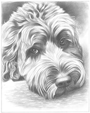 Hand Drawn Pencil Portraits from Photos | Pencil Portrait Drawing | Pencil Sketch Artists