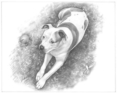 Hand Drawn Pencil Portraits from Photos | Pencil Portrait Drawing | Pencil Sketch Artists