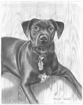 Hand Drawn Pencil Portraits from Photos | Pencil Portrait Drawing | Pencil Sketch Artists