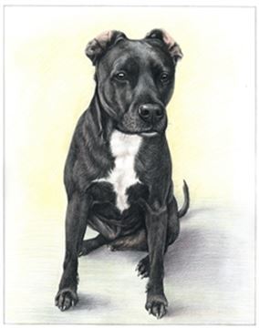 Hand Drawn Colored Pencil Portraits from Photos | Colored Pencil Drawings from Photos