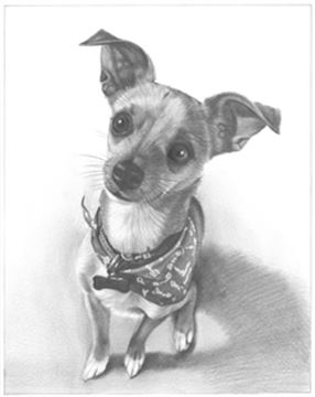 Hand Drawn Pencil Portraits from Photos | Pencil Portrait Drawing | Pencil Sketch Artists