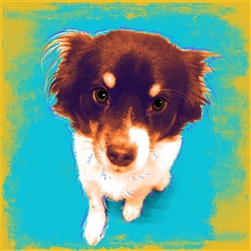 1 Panel Pop Art Portraits from Photos