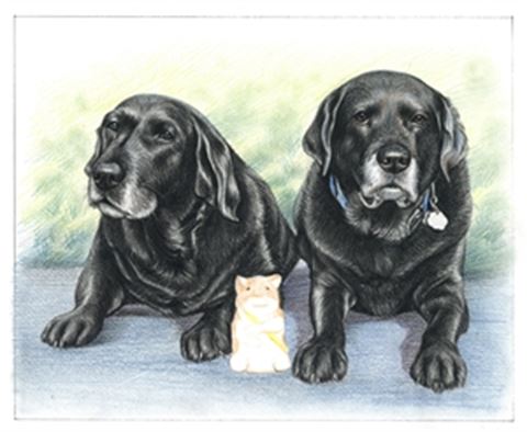 Hand Drawn Colored Pencil Portraits from Photos | Colored Pencil Drawings from Photos