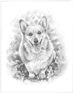 Hand Drawn Pencil Portraits from Photos | Pencil Portrait Drawing | Pencil Sketch Artists