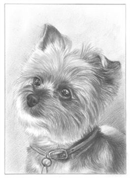 Hand Drawn Pencil Portraits from Photos | Pencil Portrait Drawing | Pencil Sketch Artists