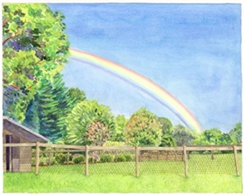 Hand-Painted Watercolor Portraits from Photos | Custom Watercolor Painting from Photo