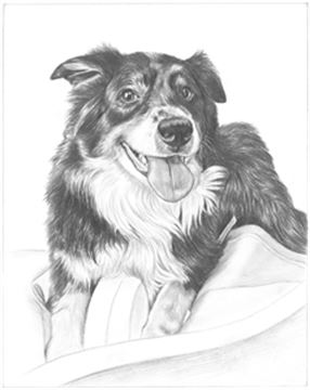 Hand Drawn Pencil Portraits from Photos | Pencil Portrait Drawing | Pencil Sketch Artists
