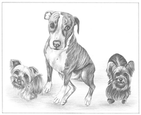Hand Drawn Pencil Portraits from Photos | Pencil Portrait Drawing | Pencil Sketch Artists
