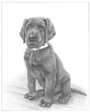 Hand Drawn Pencil Portraits from Photos | Pencil Portrait Drawing | Pencil Sketch Artists