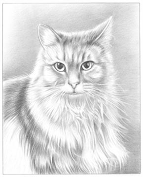 Hand Drawn Pencil Portraits from Photos | Pencil Portrait Drawing | Pencil Sketch Artists