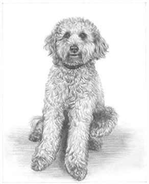 Hand Drawn Pencil Portraits from Photos | Pencil Portrait Drawing | Pencil Sketch Artists