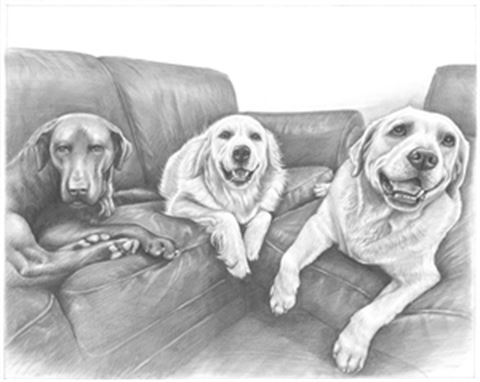 Hand Drawn Pencil Portraits from Photos | Pencil Portrait Drawing | Pencil Sketch Artists