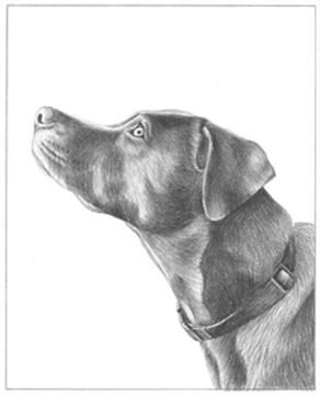 Hand Drawn Pencil Portraits from Photos | Pencil Portrait Drawing | Pencil Sketch Artists