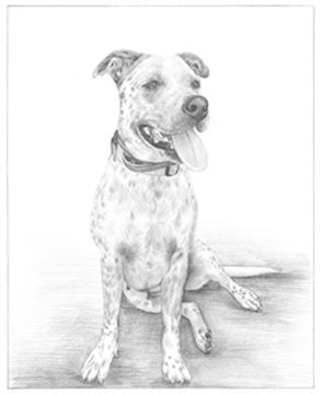 Hand Drawn Pencil Portraits from Photos | Pencil Portrait Drawing | Pencil Sketch Artists