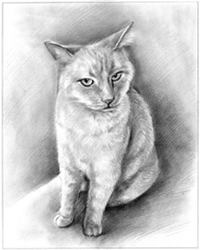 Hand Drawn Pencil Portraits from Photos | Pencil Portrait Drawing | Pencil Sketch Artists