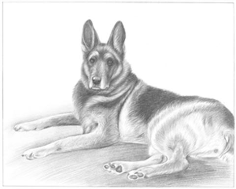 Hand Drawn Pencil Portraits from Photos | Pencil Portrait Drawing | Pencil Sketch Artists