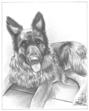 Hand Drawn Pencil Portraits from Photos | Pencil Portrait Drawing | Pencil Sketch Artists