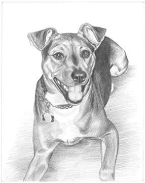 Hand Drawn Pencil Portraits from Photos | Pencil Portrait Drawing | Pencil Sketch Artists