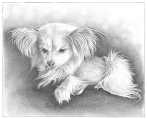 Hand Drawn Pencil Portraits from Photos | Pencil Portrait Drawing | Pencil Sketch Artists