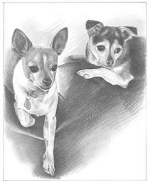 Hand Drawn Pencil Portraits from Photos | Pencil Portrait Drawing | Pencil Sketch Artists