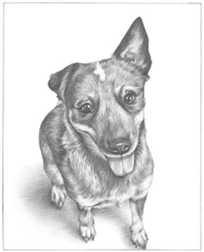 Hand Drawn Pencil Portraits from Photos | Pencil Portrait Drawing | Pencil Sketch Artists