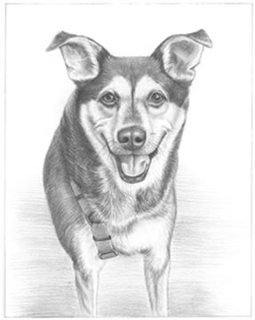 Hand Drawn Pencil Portraits from Photos | Pencil Portrait Drawing | Pencil Sketch Artists