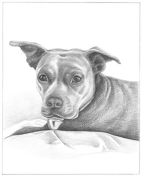 Hand Drawn Pencil Portraits from Photos | Pencil Portrait Drawing | Pencil Sketch Artists