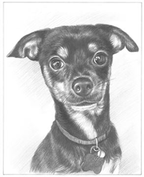 Hand Drawn Pencil Portraits from Photos | Pencil Portrait Drawing | Pencil Sketch Artists