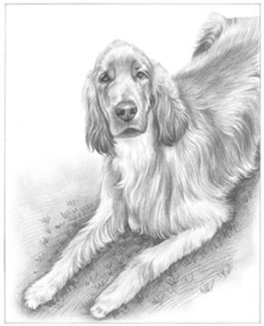 Hand Drawn Pencil Portraits from Photos | Pencil Portrait Drawing | Pencil Sketch Artists
