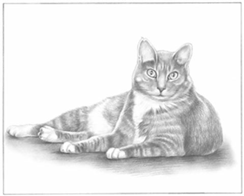 Hand Drawn Pencil Portraits from Photos | Pencil Portrait Drawing | Pencil Sketch Artists