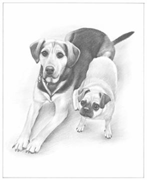 Hand Drawn Pencil Portraits from Photos | Pencil Portrait Drawing | Pencil Sketch Artists