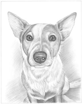 Hand Drawn Pencil Portraits from Photos | Pencil Portrait Drawing | Pencil Sketch Artists
