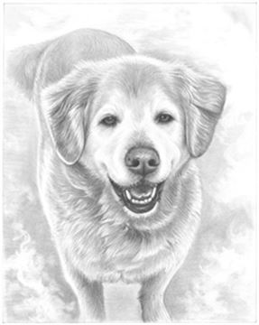 Hand Drawn Pencil Portraits from Photos | Pencil Portrait Drawing | Pencil Sketch Artists
