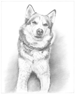 Hand Drawn Pencil Portraits from Photos | Pencil Portrait Drawing | Pencil Sketch Artists