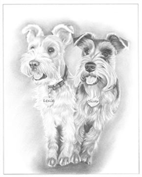 Hand Drawn Pencil Portraits from Photos | Pencil Portrait Drawing | Pencil Sketch Artists