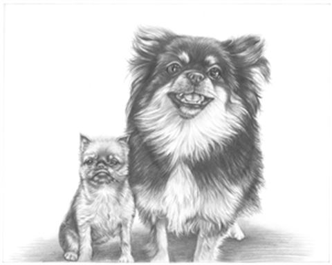 Hand Drawn Pencil Portraits from Photos | Pencil Portrait Drawing | Pencil Sketch Artists