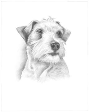 Hand Drawn Pencil Portraits from Photos | Pencil Portrait Drawing | Pencil Sketch Artists