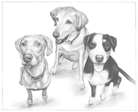 Hand Drawn Pencil Portraits from Photos | Pencil Portrait Drawing | Pencil Sketch Artists