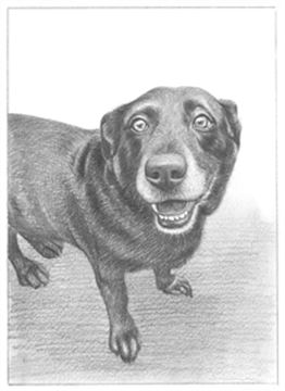 Hand Drawn Pencil Portraits from Photos | Pencil Portrait Drawing | Pencil Sketch Artists