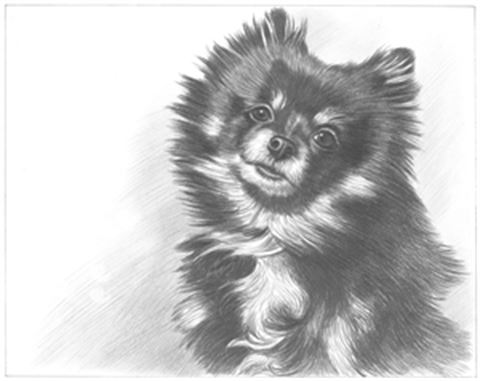 Hand Drawn Pencil Portraits from Photos | Pencil Portrait Drawing | Pencil Sketch Artists
