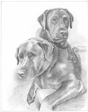 Hand Drawn Pencil Portraits from Photos | Pencil Portrait Drawing | Pencil Sketch Artists