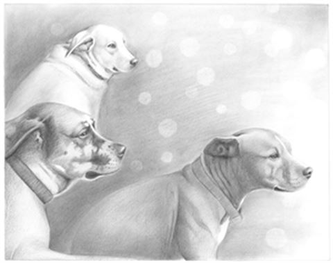 Hand Drawn Pencil Portraits from Photos | Pencil Portrait Drawing | Pencil Sketch Artists